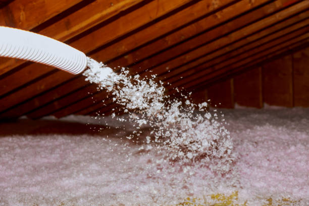 Insulation Inspection Services in Lennox, SD