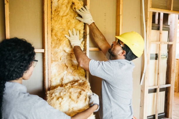 Best Attic Insulation Installation  in Lennox, SD
